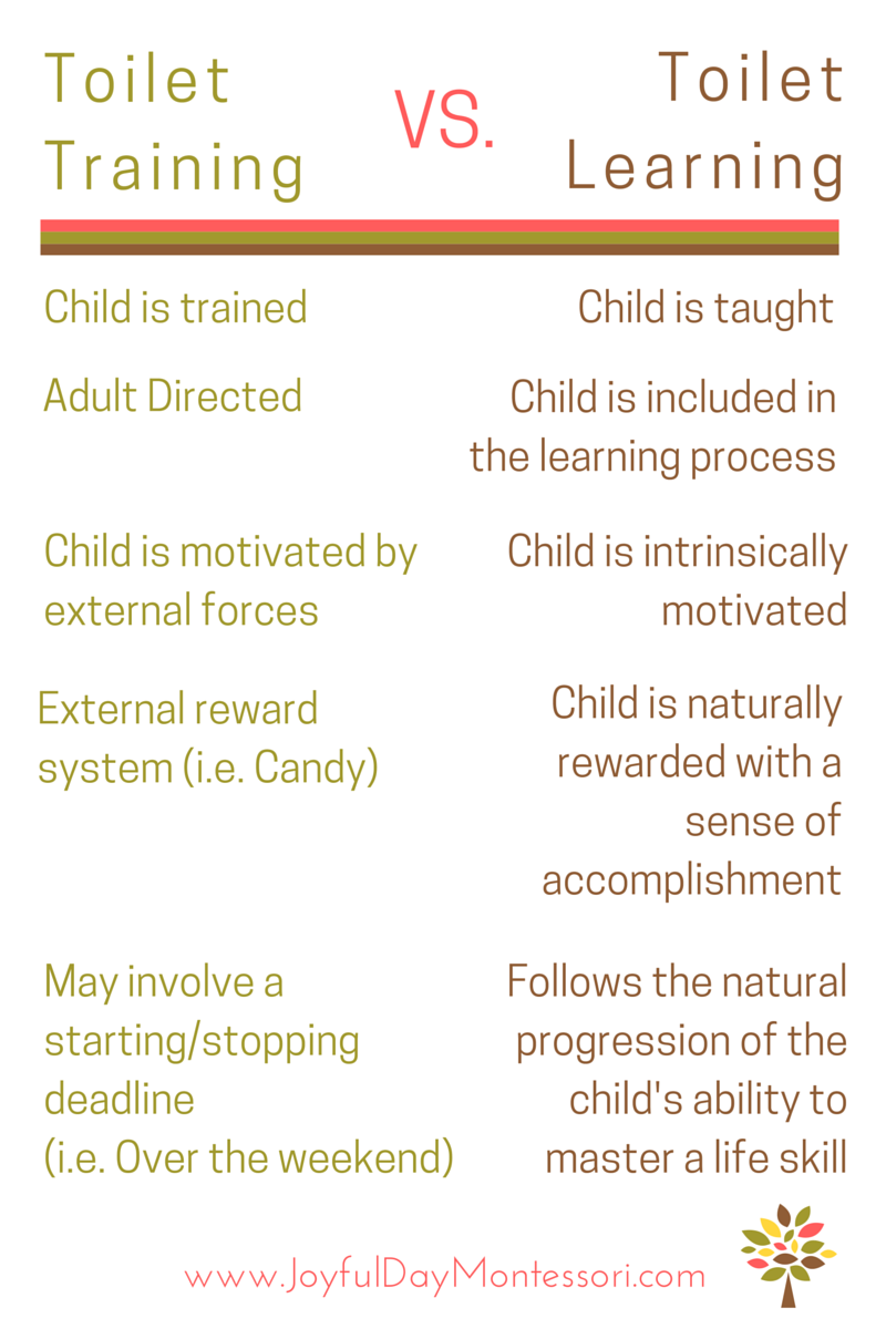 Potty Learning 101