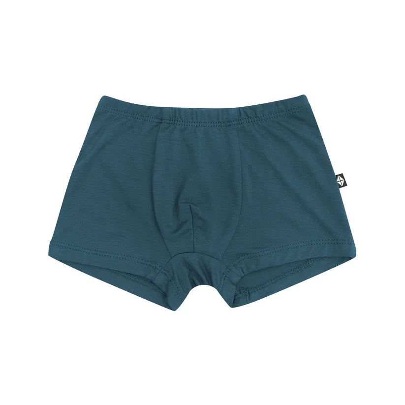 Kyte Baby Toddler Briefs - Atlantic