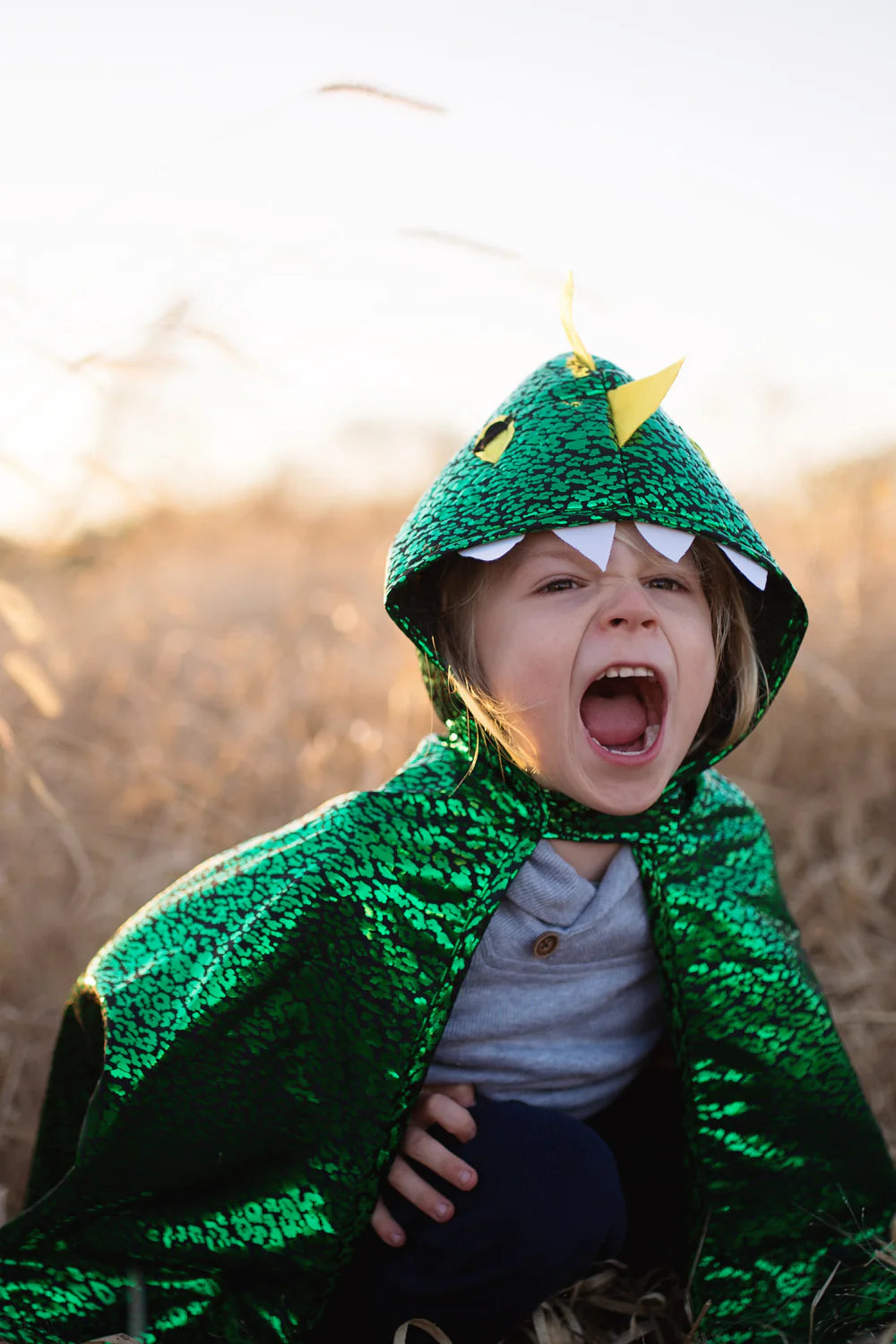 Great Pretenders Toddler Green Metallic Dragon Cape