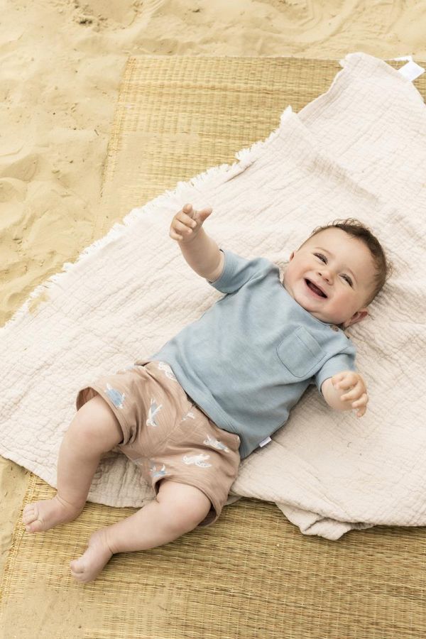 Noppies Boys Short Sleeve Tee Bartlett - Blue Fog Arona