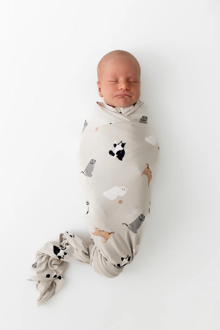 Kyte Baby Swaddle Blanket - Fluffy Cat