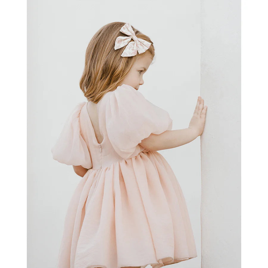 ノラリー　Noralee SOFIA DRESS BLUSH ノラリー Noralee SOFIA DRESS BLUSH Noralee Sofia Dress Blush