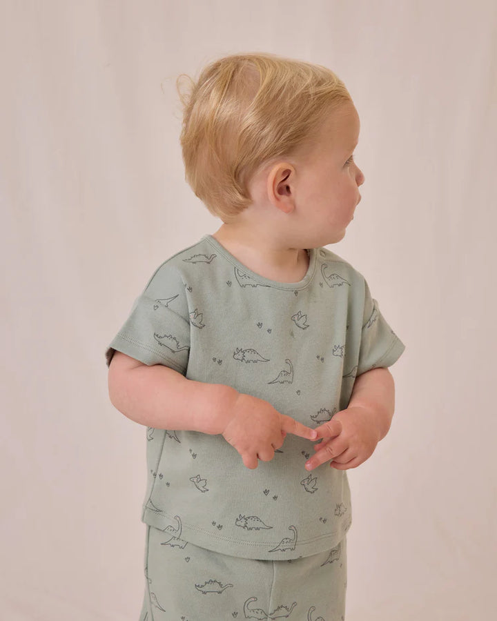 Quincy Mae Jersey Tee &amp; Pants Set - Dino