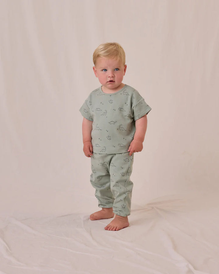Quincy Mae Jersey Tee &amp; Pants Set - Dino
