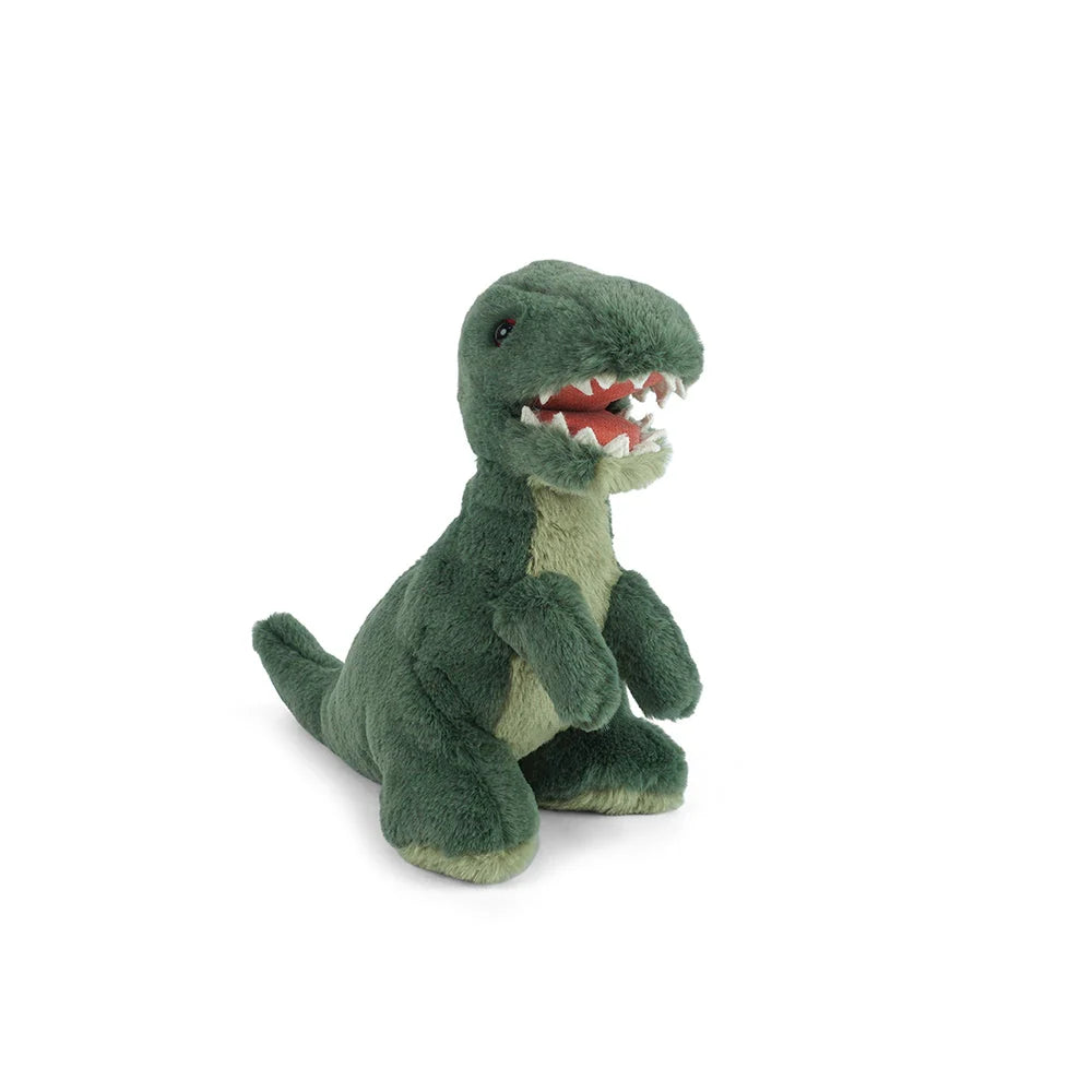 Mon Ami Bruno T-Rex
