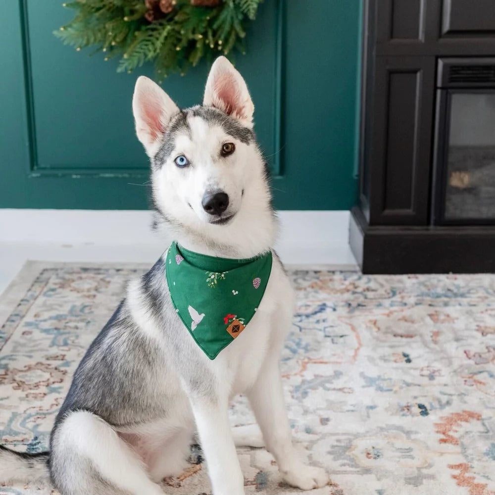 Kyte Baby Dog Bandana - Mistletoe Kyte Baby Dog Bandana - Mistletoe